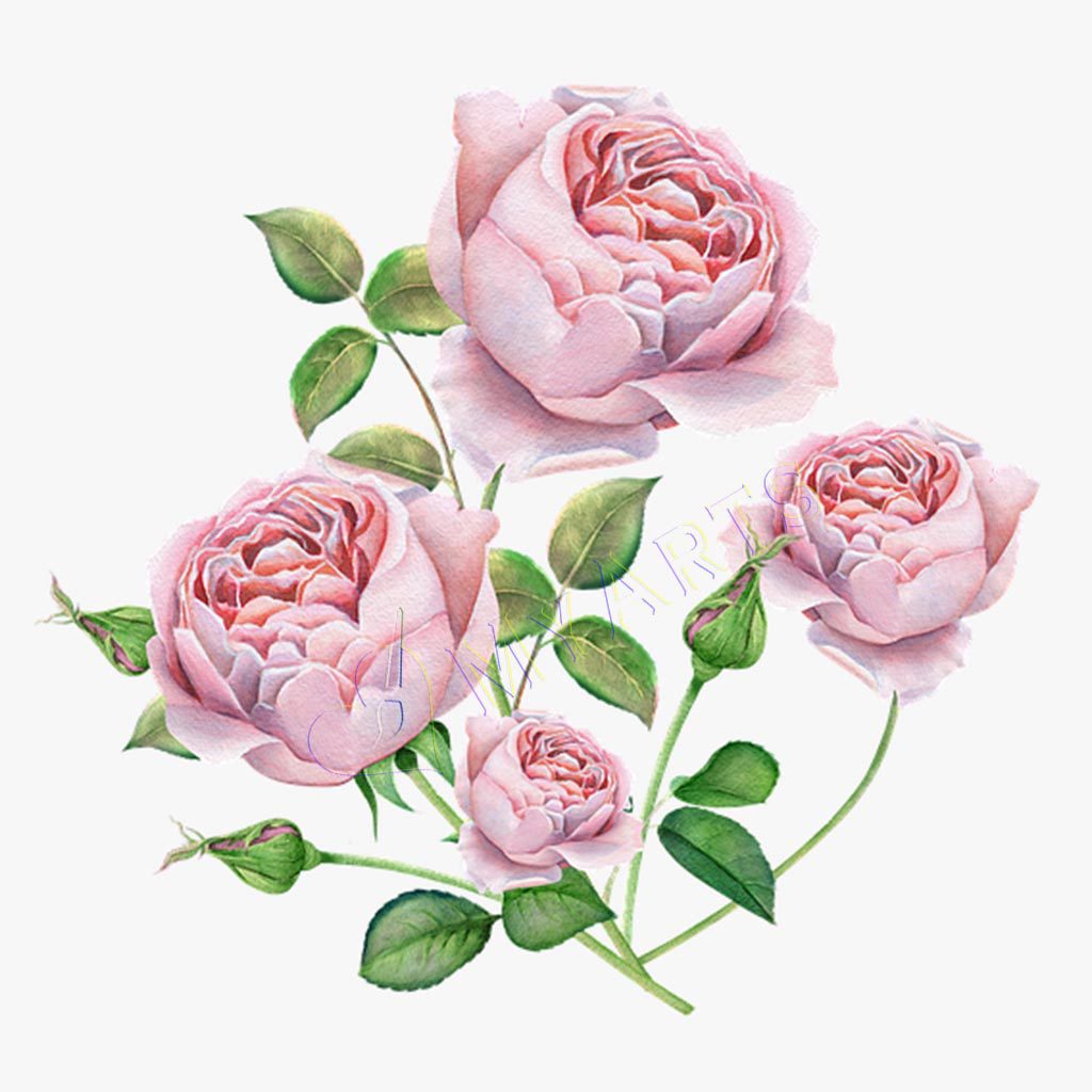 LoveMyArts gallery image 1